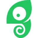 Chameleon's logo xs'