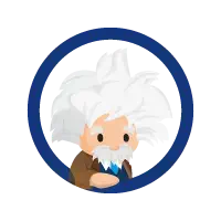 Einstein's logo xs'